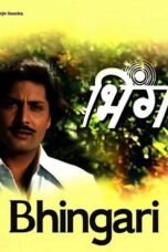 Bhingari 1976 Marathi Movie 1080p HDRip  ~ a8ix