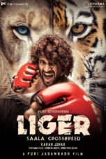 Liger (2022) 360p + 720p + 1080p + 2160p 4K DSNP WEB-DL x265 10bit HEVC Multi Audio [Hindi + Tamil + Telugu + Malayalam + Kannda] DDP5.1 Esub