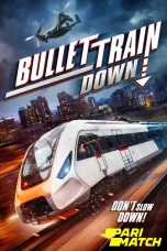 Bullet Train Down (2022) 720p WEBRip Bengali Dubbed (PariMatch)