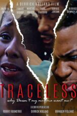 Traceless (2019) 720p WEBRip HINDI Dubbed (PariMatch)