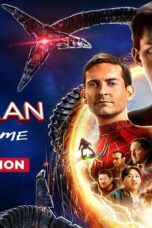 Spider-Man: No Way Home (2021) (Extended Version) WEB-DL [Hindi + English (DDP 5.1)]  Dual Audio 1080p 720p 480p MSub