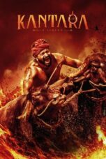 Kantara (2022) 360p + 720p + 1080p NF WEB-DL x264 Hindi DDP5.1