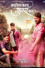 Baghtos Kaay Mujra Kar (2017) 240p + 360p + 480p + 1080p AMZN WEB-DL Marathi DDP5.1 H.264