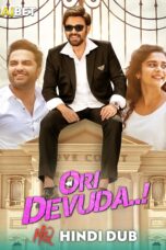 Ori Devuda (2022) Hindi 1080p WEB-DL PROPER HQ-DUB