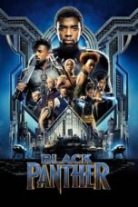 Black Panther (2018) 720p + 1080p + 2160p 4K BluRay x265 10bit HEVC [Org Hindi DDP 5.1 ~ 640Kbps + English  TrueHD Atmos 7.1] ESub