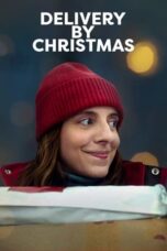 Delivery by Christmas (2022) Dual Audio NF Movie [Hin + Eng (DDP 5.1)] WEB-DL 480p 720p 1080p MSub