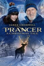 Prancer A Christmas Tale (2022) 720p BluRay HINDI Dubbed (MELBET)