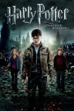 Harry Potter and the Deathly Hallows – Part 2 (2011) 360p + 720p + 1080p + 2160p 4k 10bit BluRay x265 HEVC [Org AMZN Hindi DDP 5.1 ~ 640Kbps+ English AAC 5.1] ESub