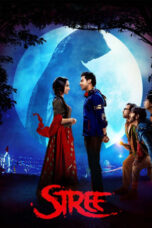 Stree (2018) Hindi 360p + 720p + 1080p + 2160p 4K NF WEB-DL x265 10bit HEVC DDP 5.1 ESub