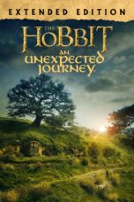 The Hobbit: An Unexpected Journey (2012) BluRay Hindi English 480p + 720p ESub