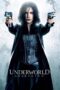 Underworld: Awakening (2012) BluRay Hindi English 720p + 480p AAC 5.1 x264 ESub