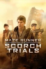 Maze Runner – The Scorch Trials (2015) 360p + 720p + 1080p + 2160p 4K 10bit BluRay x265 HEVC [Org Hindi HDTV DD 2.0 ~ 384Kbps + English AAC 2.0] ESub