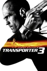 Transporter 3 (2008) BluRay Hindi 2.0 English 5.1 720p + 480p x264 ESub