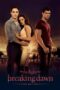 The Twilight Saga: Breaking Dawn – Part 1 (2011) BluRay Hindi English 480p + 720p ESub