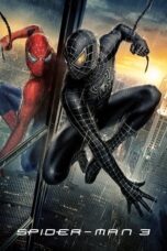 Spider-Man 3 (2007) BluRay Dual Audio [Hindi DD5.1 + English DD5.1] 480p | 720p | 1080p ESub