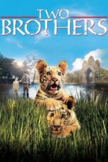 Two Brothers (2004) BluRay Dual Audio [Hindi DD5.1 + English DD5.1] 480p | 720p | 1080p ESub