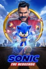 Sonic the Hedgehog (2020) BluRay Dual Audio [Hindi DD5.1 + English DD5.1] 480p | 720p | 1080p ESub