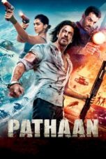 Pathaan (2023) 360p + 480p + 720p + 1080p + 2160p 4K AMZN WEB-DL x265 10bit HEVC Multi Audio [Hindi + Tamil + Telugu ~ DDP 5.1] MSub