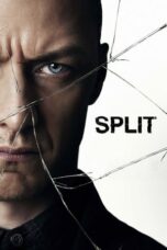 Split (2016) 360p + 720p + 1080p 10bit BluRay x265 HEVC [Org Hindi DD 5.1 ~ 640Kbps + English AAC 5.1] ESub