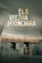 Ela Veezha Poonchira (2022) 360p + 720p + 1080p AMZN WEB-DL Malayalam DD+ 5.1 – 640Kbps & AAC 2.0] ESubs