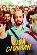 Ujda Chaman (2019) 360p + 720p + 1080p 10bit HEVC Hindi DD 5.1 H265 ESubs