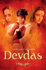 Devdas (2002) WEBRip Full Bollywood Movie ESubs