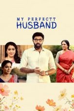 My Perfectt Husband S01 (2024) Hindi Completed Web Series ESub